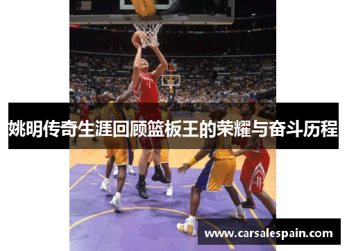 姚明传奇生涯回顾篮板王的荣耀与奋斗历程